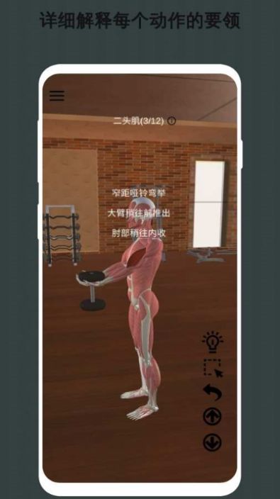 3D健身指南